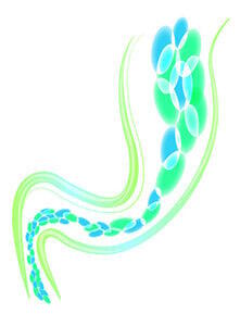 alkaline phosphatase alkaline phosphatase